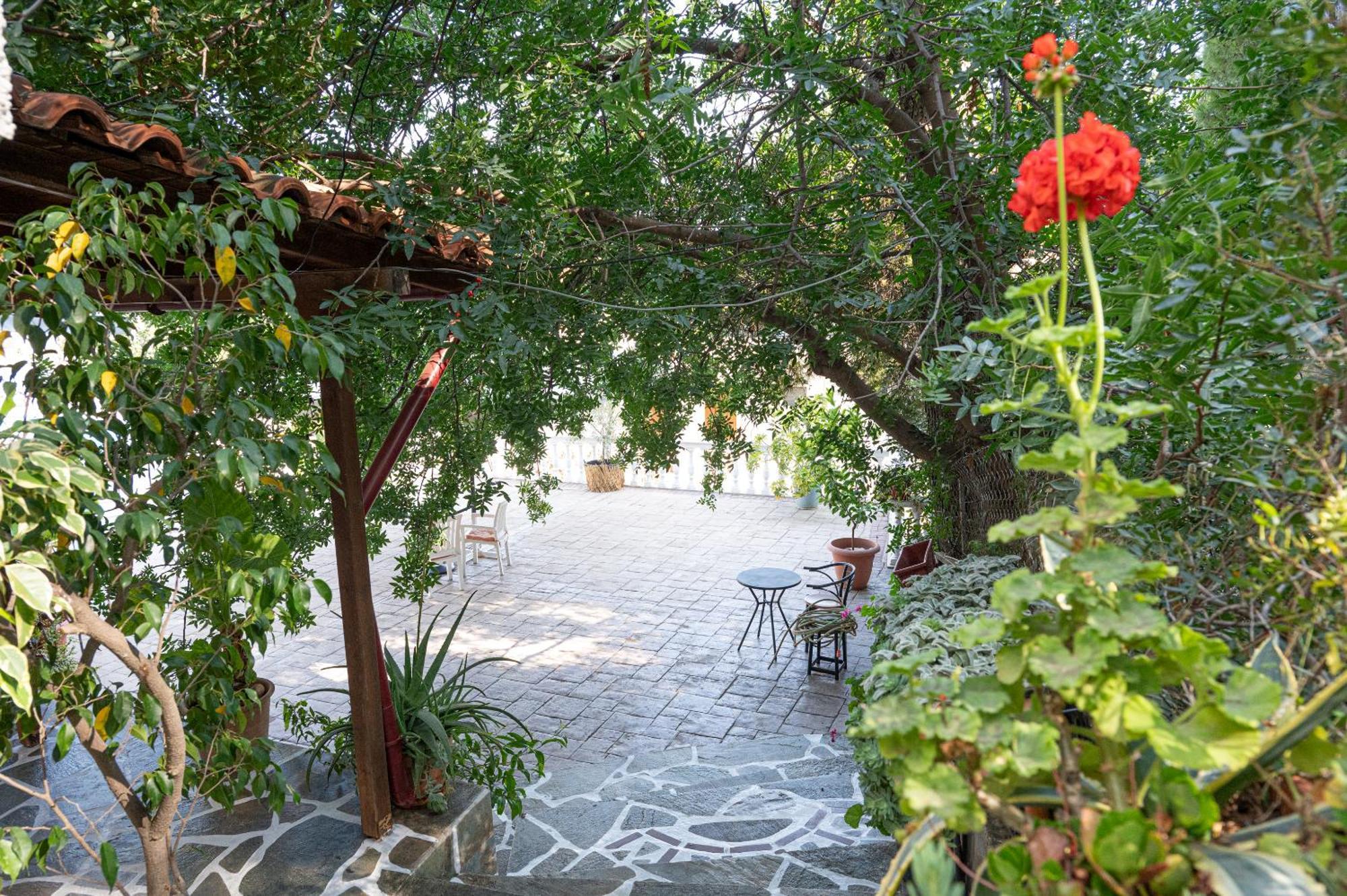 Lions 2 Studios & Apartments, Poros Island. Poros Town Exterior photo